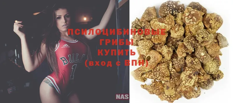 Псилоцибиновые грибы GOLDEN TEACHER  Алатырь 